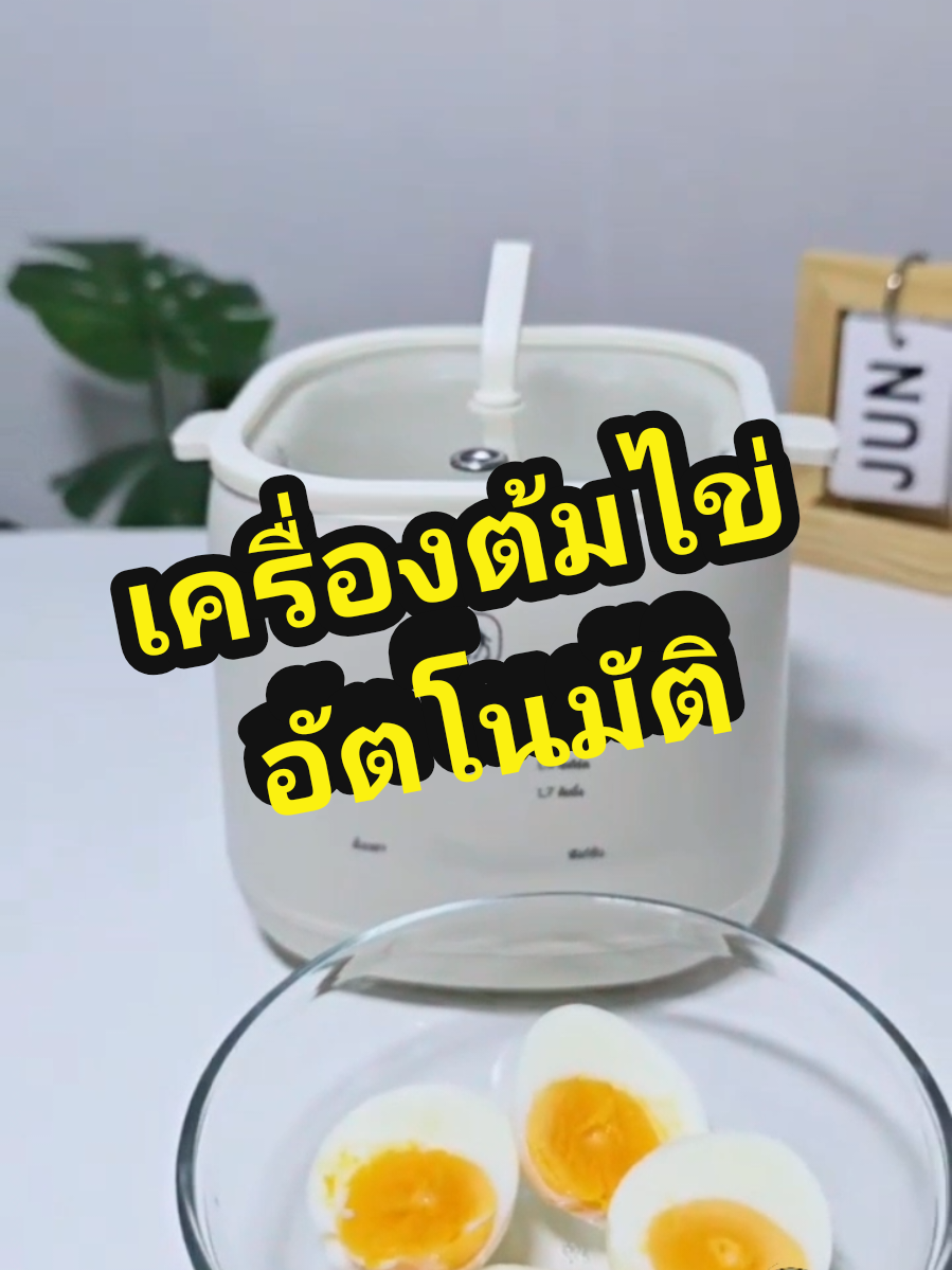 ทำได้ทุกเมนูไข่ไม่ต้องคอยยืนเฝ้าเตา มีโหมดต้มนึ่งที่สามารถหุงข้าวได้ด้วย #เครื่องต้มไข่ #เครื่องต้มไข่อัตโนมัติ #เครื่องต้มไข่ไฟฟ้า #เครื่องต้มไข่camel #เครื่องต้มไข่ยางมะตูม 
