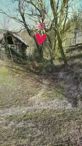 ❤️❤️❤️#❤️❤️