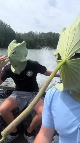 Lily pad bandits@bigsig5.0 #trending #fyp #lilpadrunnas #havocboats #urmomshouse #duckhunting #duckseason2025🦆 #cuttemdownoutfitters #bandedgear 