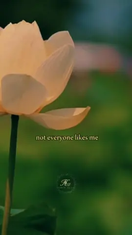 Join our WhatsApp Group chat for daily inspiration 💚 https://is.gd/ABestOfLifeGroup #fyp #motivationalvideo #motivation #freepalestine 🇵🇸 #staystrong 