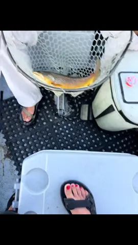 I Love my job and everyone I get to meet 🤍 #flyfishing #family #friends #sanjuanriver #womenwhofish 