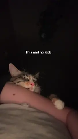 #cutecat #catsleeping #catlover #catsoftiktok #cattok 