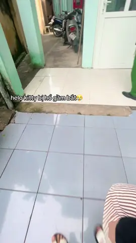 #viral 