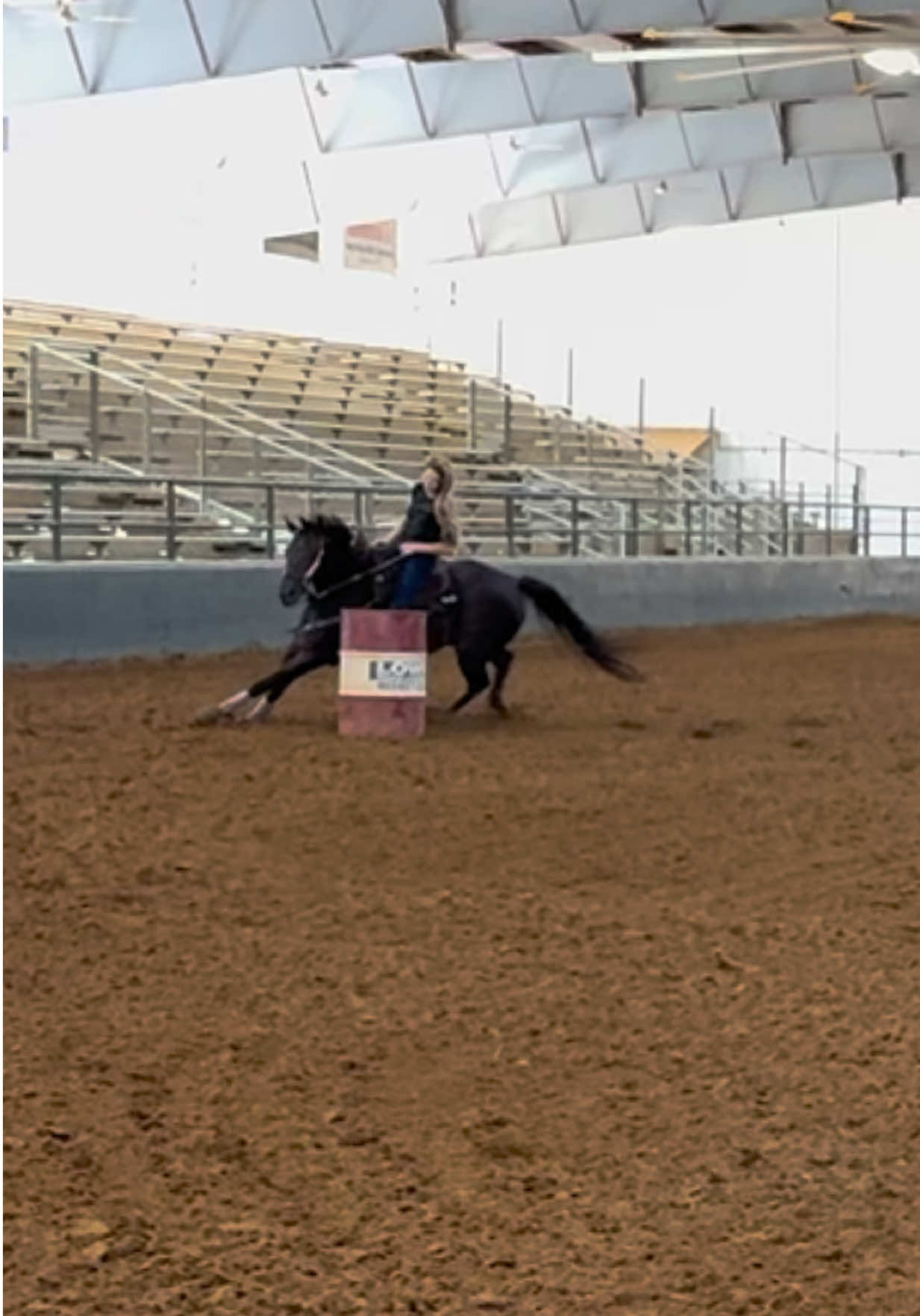 #barrelracer #horse #horses #blissandjuju 