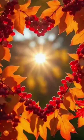 🍫☕🌹С добрый утром друзья 🫂29 Августа С последний Пятницей уходящего Лета 🫣🥲😌 #сдобрымутром #летонеуходи #осень #рекомендации #реки 