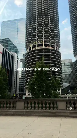 birthday was a success! 🙂‍↔️  #fyp #chicagovlog #foryoupage #capcutedit 