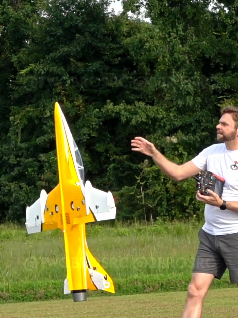 The new Freewing Ares is pretty capable on our setup. Isn't it wild seeing a ducted fan jet hovering? #aviation #rc #rcplane