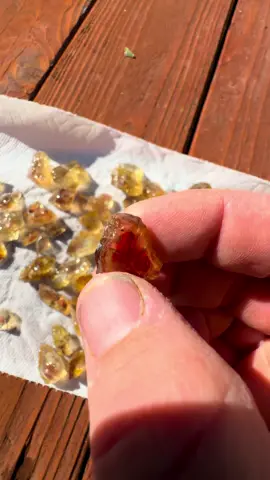 If you’re debating on which sunstone mine to visit then you’re in luck! 🍀 here’s my colors from two days of digging at Double Eagle Mining Company  some beautiful blues and killer watermelons 🍉 if you want to put in the work the $80 options is insane. The owners are also great! 👍 