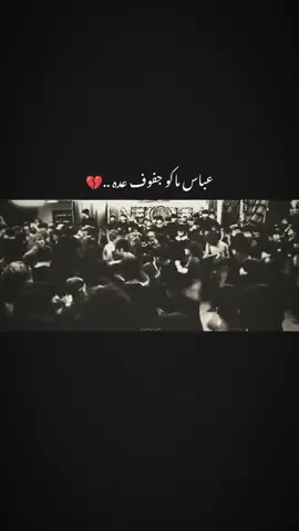 #سلاعليك_يا_ابو_عبدالله #لبيك_ياحسين #سجادالجيزاني #يامولاتي____يازينب #اهل_البيت_عليهم_سلام 