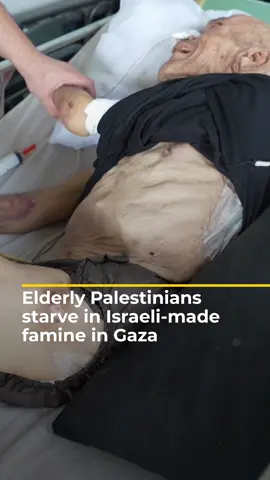 An increasing number of elderly Palestinians in Gaza are dying due to the Israeli-made famine there. #news