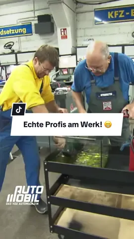 @Die Autodoktoren 😂😂  #voxautomobil #dieautodoktoren #autodocs #fail #fyp 