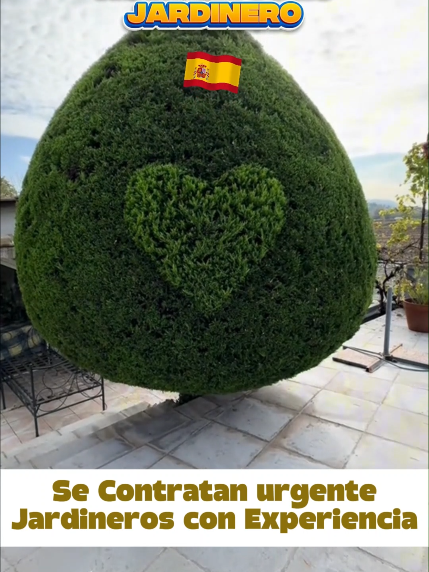 🌿🇪🇸 ¡Trabajo URGENTE en España! Se necesitan jardineros con experiencia para trabajar en obras públicas y mantenimiento de áreas verdes. Ofrecemos contrato legal de 1 año, alimentación incluida 🍽️ y ayuda con la documentación si aún no tienes los papeles regularizados. Buscamos personas responsables, hábiles y con disponibilidad inmediata para viajar ✈️.🔥 Vacantes limitadas, postúlate YA entrando a la BIO 📲#urgente #curro #trabajo #jardineria #jardineros #jardinero #experiencia #trabajo #oportunidad #extranjeros #inmigrantes #españa #spain #latinoamericano #enparati #tendencia #jardin #plantas #cesped #flores #grass #pasto #naturaleza #jardinerosespaña #trabajoenespaña #empleosenespaña #mantenimientourbano #obraspublicas #cortedecesped #areasverdes #trabajoya #empleosurgentes#peruanos#ecuatorianos#colombianos#brasileros #postulateya #convocatoriadeempleo #oportunidadprofesional #plazadisponible #trabajandoya #empleos2025#trabajadores#importante#ganasdetrabajar#metas#esfuerzo#noticias#urgente #trabajoinmediato #fulltrabajo #madrid #sevilla #barcelona #valencia #granada #zaragoza #bilbao #alicante #malaga #trabajadoresactivos #oportunidadesenespaña #limpiezaymantenimiento #empleosdisponibles#fullempleos#empleosdisponibles #contratoinmediato#contratodetrabajo #beneficioslaborales #mejorempleo #empleosenverde #reclutamientolaboral #trabajarporelmundo #nuevavacante #personalcalificado #trabajojardineria #empleoseneuropa #tendencia #2025 #mexico #mexicanos #republicadominicana #panama #costarica #enparati