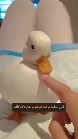 اینا رو دیدین از نزدیک تو المان تو دریاچه ها خیلی هستن 😍😍 حتى اكه كمى از محل زندكى شون دور بشن، راه برگشت رو پيدا مى كنن. اين هوش ذاتى باعث ميشه تو محيط هاى باز هم هميشه به خونه ى خودشون برگردن. #iran #reels #explore #viral #افغانستان 