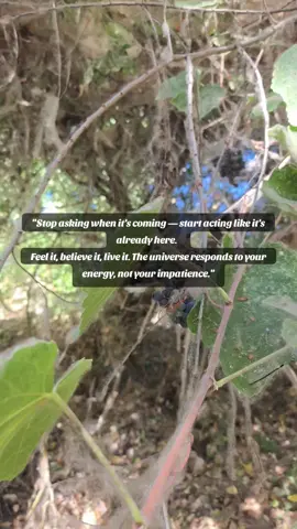 Stop waiting, live your life. #manifestingtips #manifesting 