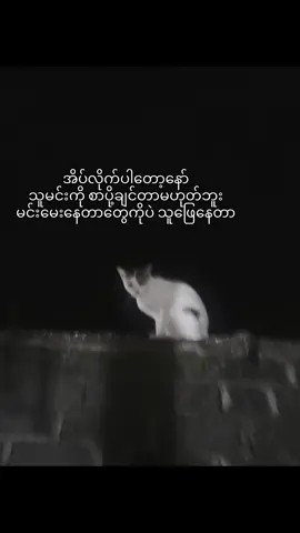 အိပ်လိုက်ပါတော့#fypシ #viral #foryou #foryoupage #tiktokmyanmar 
