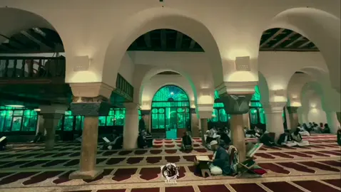 تصلي امة المليار #صلوات_الله_عليك_يا_حبيبي_يا_رسول_الله #المولد_النبوي_الشريف_صلوا_على_النبي #صلوات #زوامــــــل_من_العيارات_الثقيله #fypシ゚viral🖤tiktok 