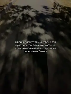 Все фоны в тгк.