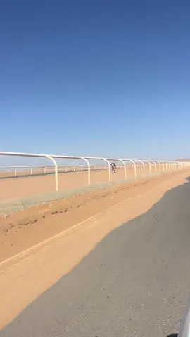 #هجن 