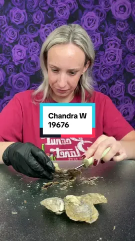 Chandra W #roselee 