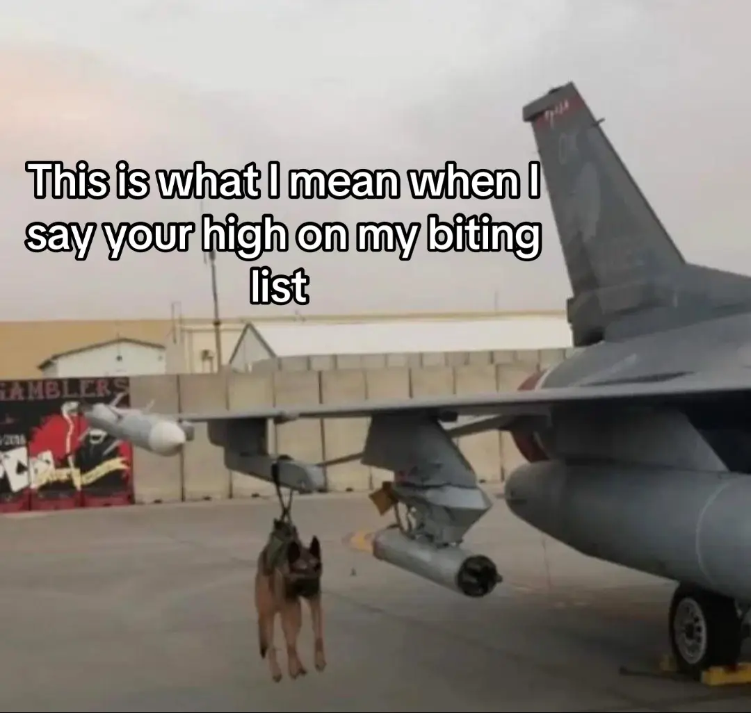 #militarytiktok #AirForce #dog #fyp #bitinglist 