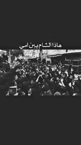 هاذا الشام .. #يازينب_الكبرى 