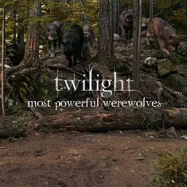 ib: @MOCHAA версия с ихвильнихтами🐺 #twilight 