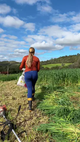 #cowgirl #agrogirl #fazenda #vaca #aveia 