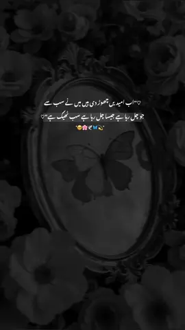 ❤️‍🩹#whos_mishi2 