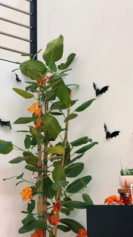 #halloweendecor #halloween2025 #bats #halloweenbats #halloweenishere 