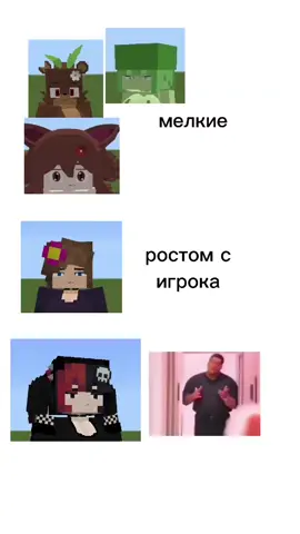 #fyp #майнкрафт #дженни #Minecraft#mode