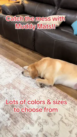 Keep your floors clean with these mats. Just throw them in the washing machine and they are like new again. I have 3 and LOVE them. Lots of colors are available too. #pets #PetsOfTikTok #genx 