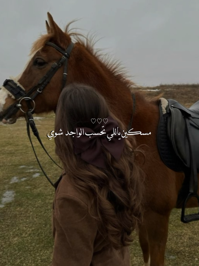 🐎🖤#CapCut #خيل_وخياله🐎 #الاردن #مهرة🐎 #خيل_حصان_فرس_مهره_خيول_امهار_العاديات 