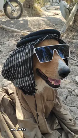 #الشيخ العام #يخلق_من_الشبه40 #الشعب_الصيني_ماله_حل😂😂 #ترند #الترند_بطريقتنا @جان تيك توك ⛎ 