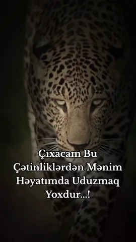keşfet