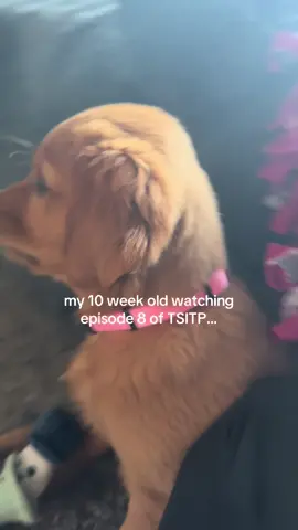 I had the same reaction..