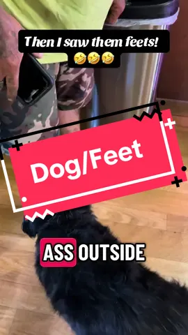 Dog was knocked out… but them feet! #hubby #wife #laughter #pup #dog 