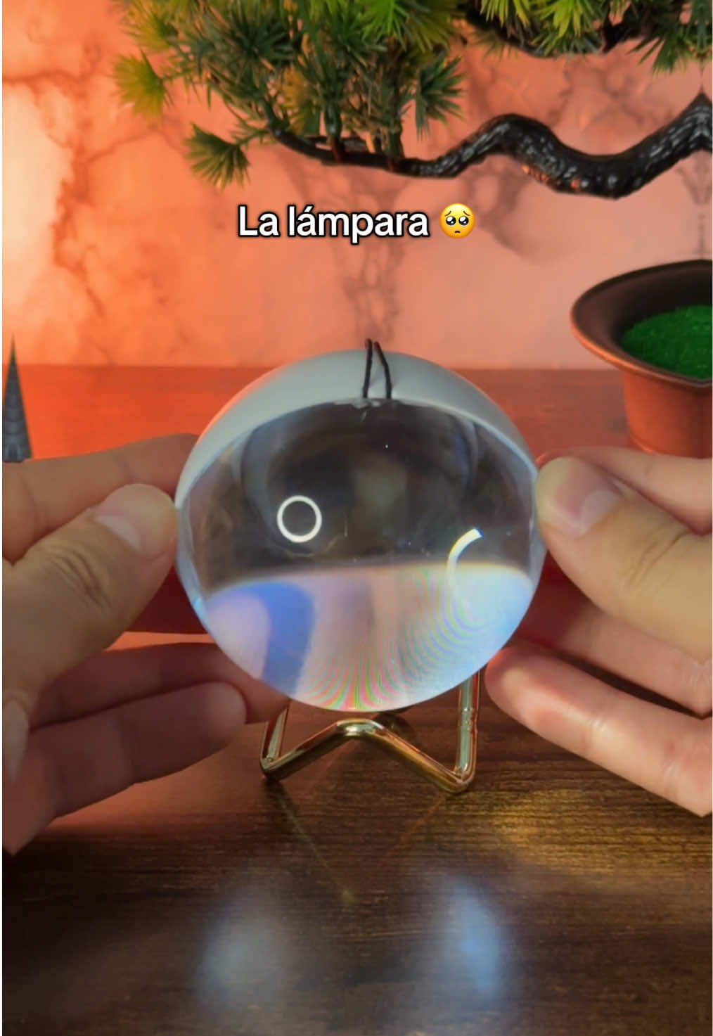 El recuerdo más bonito de tu mascota!! 🥹🔮✨ Personaliza esta esfera luminosa 3D con la imagen de tu mascota o ser querido y atesora los mejores momentos. 🐶🐱🧑‍🧑‍🧒 ¡ilumina tus recuerdos más especiales!  #esfera #perro #mascotas #regalo #recuerdo  