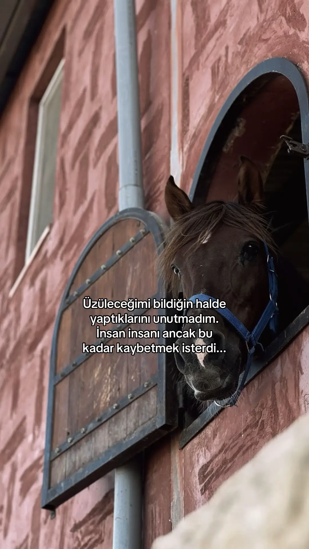 #beniöneçıkart #onecikarttiktok 