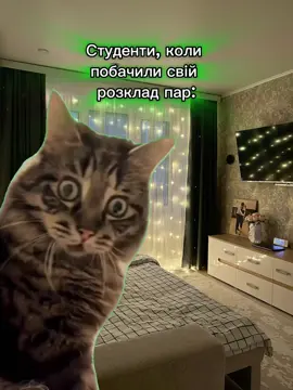 А ви вже бачили свій розклад? #ТікТок #навчання #студентськежиття  #київськийнаціональнийуніверситеткультуриімистецтв #київськийуніверситеткультури     