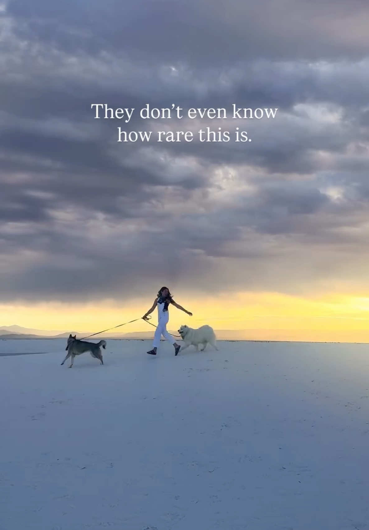 I had this realization recently Our dogs don’t know a life outside of these grand adventures  They don’t know that not every dog they meet has that same experience How rare is it How pure is it That to them, the life of a dog shouldn’t be anything different than this #lifeofadog #dogfriendlytravel #heartdog