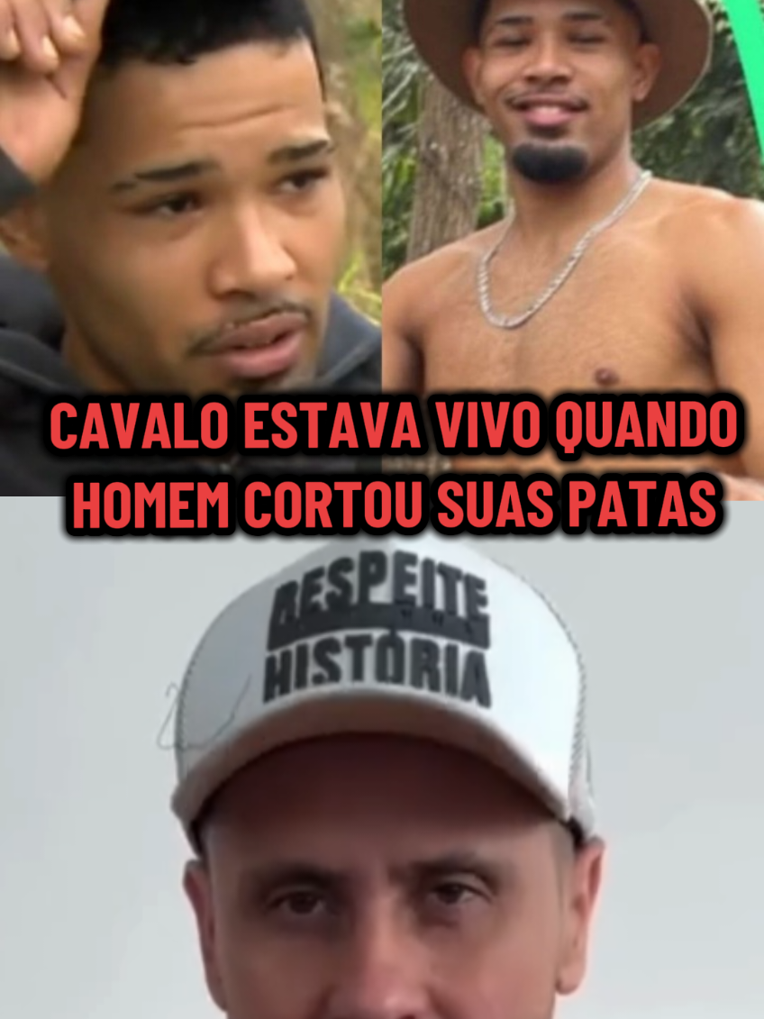 Policia desmente homem que cortou as patas do cavalo após falarem que o animal já tinha morr quando aconteceu