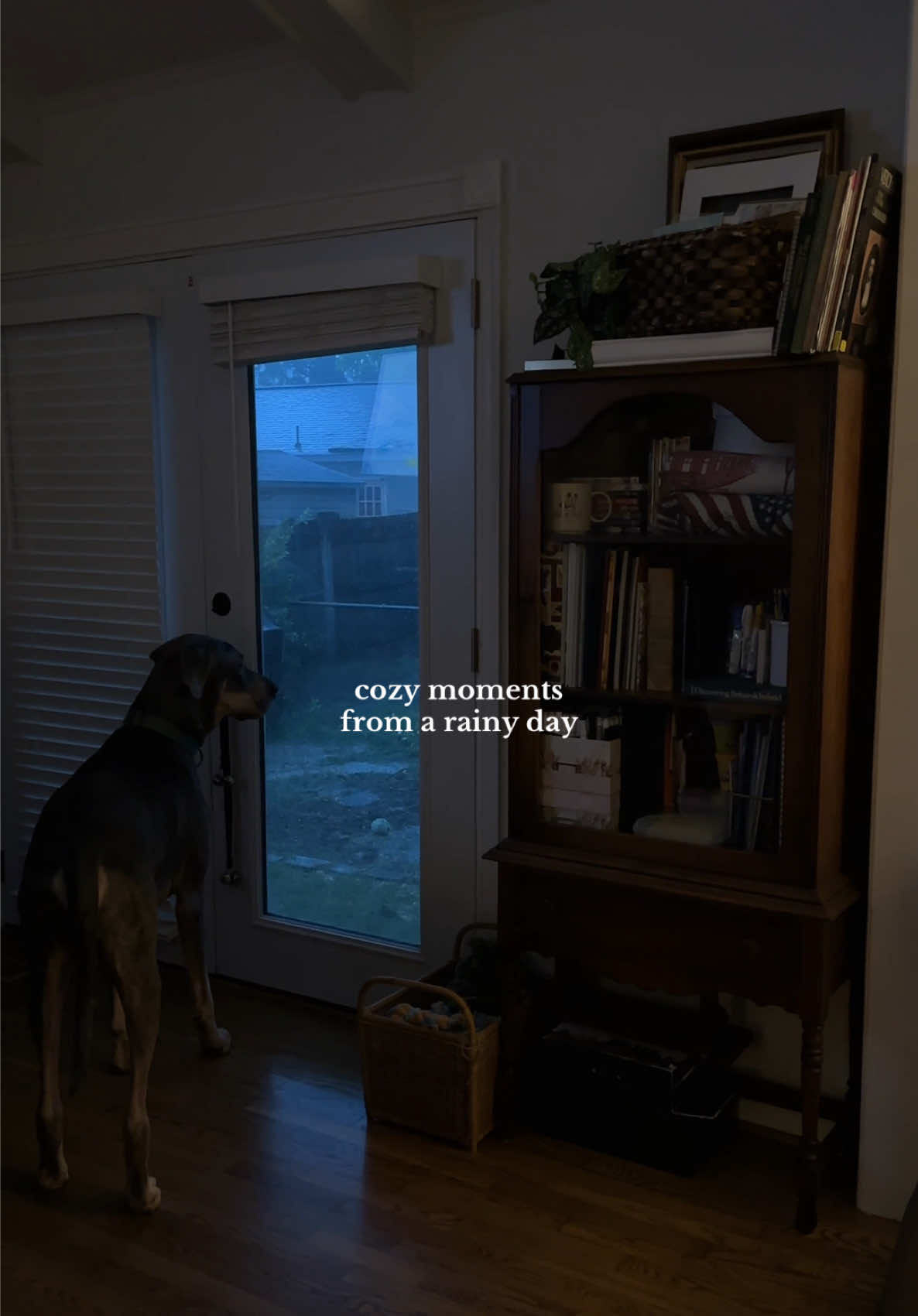 Rainy days that whisper fall is on its way 🌧️ the perfect excuse to slow down, light a candle, and stay cozy inside 🍂 #cozy #slowliving #cozyathome #Home #homeinspo #homedecor #cozyhome #romanticizeyourlife #rainyday #cozyvibes #fallvibes #rainydays #cozyaesthetic #simpleliving #slowlife #fallcozy #rainydayvibes