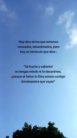 A veces nos sentimos cansados y sin fuerzas, pero recuerda que nunca estás solo.. Dios camina contigo en cada paso que das 🙌 Se fuerte y valiente!! 🩵 #reflexiones #motivacion #diosteama #fyy 