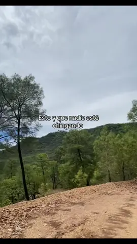 🌲🍃#sierra #virallllllllllllll #paratiiii 