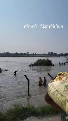 #flood #punjab #majha #majhail #panjabi #foryou 