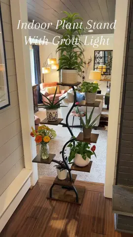 #plantstand #indoorplants #indoorplantsdecor 