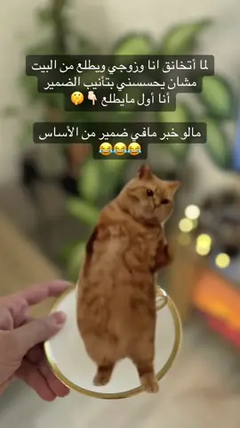 #للترفيه_فقط #🤣🤣🤣 #ضحك #حطولي_لايك_واكسبلور_وفولو🦋❤ #متابعه_ولايك_واكسبلور_احبكم 