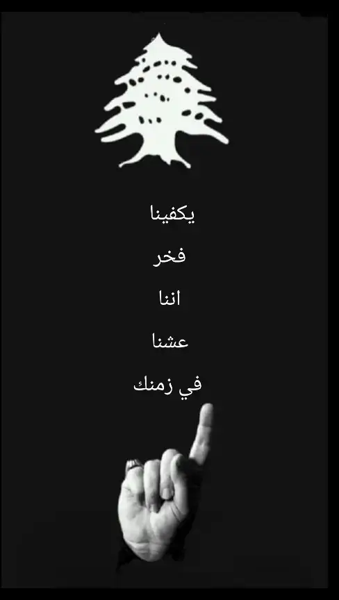 #لبنان🇱🇧 #الضاحية # #ولا زمن الهزائم#