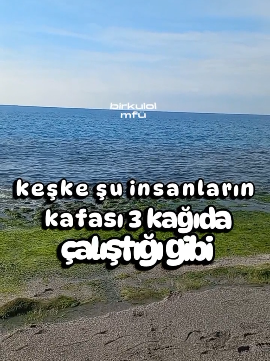 keşke şu insanların kafası 3 kağıda  #mfü #birkulol #deniz #doğa #hikaye 