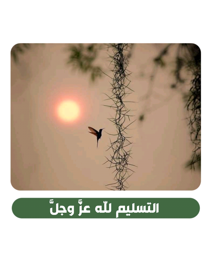 التسليم لله عزّ وجلّ 🩵 #البحرين #تيار_الوفاء #دار_الوفاء #نهج_الولاية 